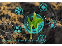Agricultural Robots and AI: A Question of When and Not If