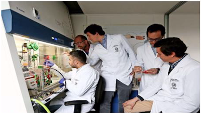 Chilean Company at Forefront of Race for Artificial Vascular Graft