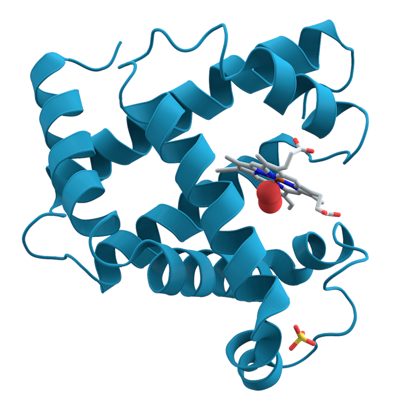 Machine Learning Reveals Recipe for Building Artificial Proteins