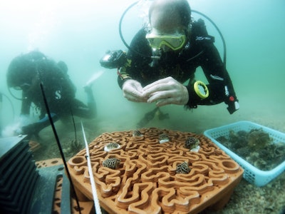 Novel 3D Printed Reef Tiles to Repopulate Coral