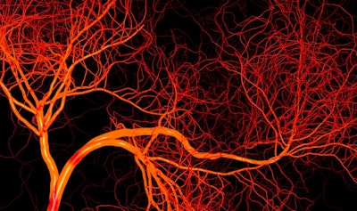 Oxygen-Releasing Bioink for 3D Bioprinting