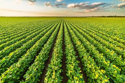 Join the Webinar - Biostimulants: Navigating a Crowded Market Place