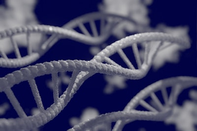 Verve CRISPR Editing Treatment Selected for Human Trials