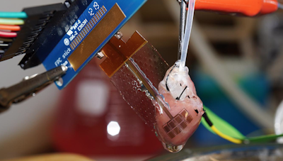 New Approach Yields Highly Customisable Bioelectronics