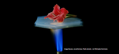 Join the Upcoming IDTechEx Webinar on the Aerogel Market