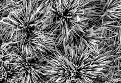 Inexpensive Tin Packs a Punch for Future Supercapacitors