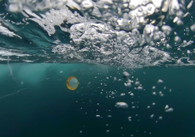 Robotic Microplankton Sniffer Dog