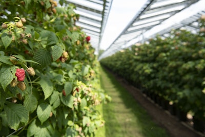 Award for Europe's Largest "Fruitvoltaic" System