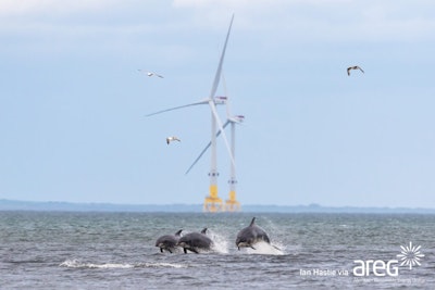 Partnership to Develop Offshore Wind Farms in New Zealand