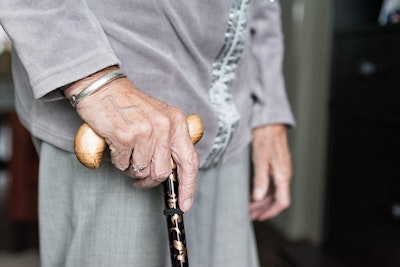 Robot for Assisting the Elderly in Standing up, Walking, Sitting Down