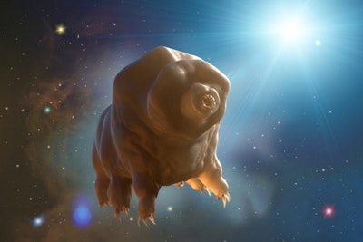 Scientists Contemplate Launching Tiny Lifeforms into Space