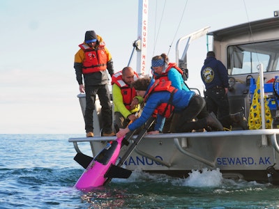 Carbon Dioxide-Sensing Underwater Glider