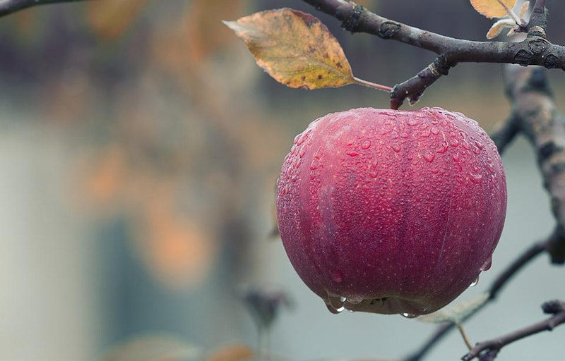 Nano-Sensor Detects Pesticides on Fruit in Minutes