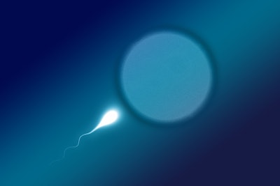 Without Egg, Sperm or Womb: Mouse Embryos Created from Stem Cells