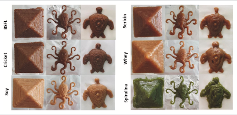 Food Supply Challenge Addressed : 3D Printed Algae, Plants and Insects