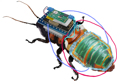 Robo-Bug: a Rechargeable, Remote-Controllable Cyborg Cockroach