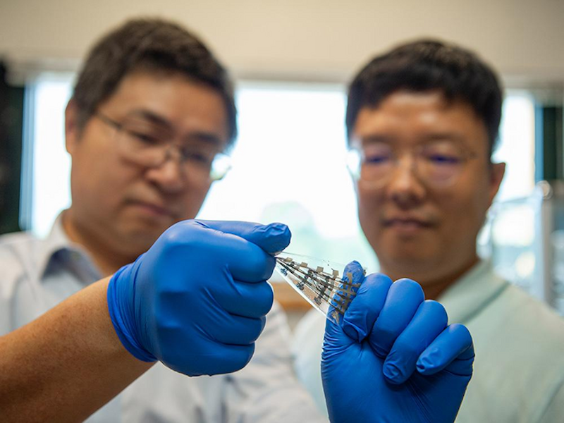 Stretchy, Bio-Inspired Synaptic Transistor