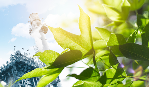 The Future of Sustainable Chemicals: Next-Generation Feedstocks and Lignin Valorization