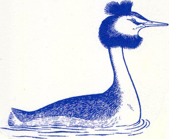 Electric Boat Association