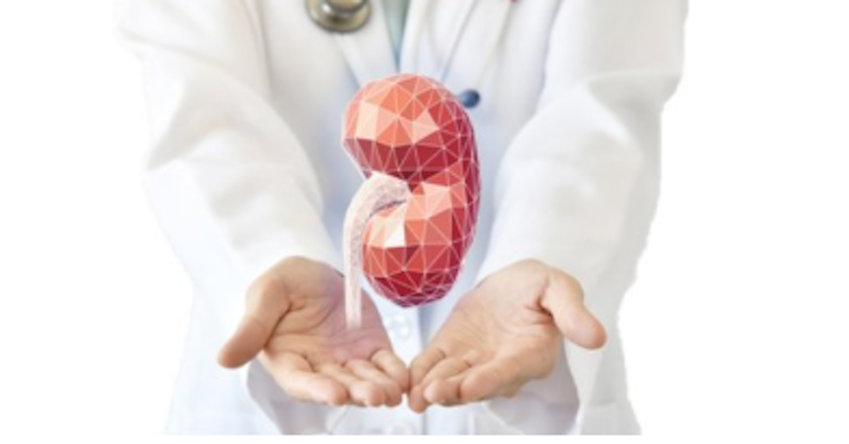 Funding To Create Human Organs With 3d Printing Global