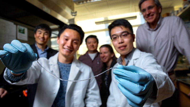Removable implant may control type 1 diabetes | Global Biotechnology Insights