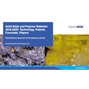 Solid-State and Polymer Batteries 2019-2029: Technology, Patents, Forecasts