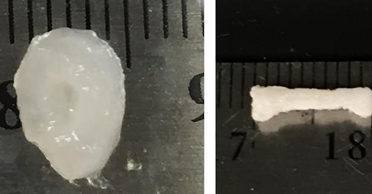 3D Printing Organs With Stem Cells . But While The Technology�s Possibilities Are Exciting, Already There Are Fears We Could Be �pLaying The Dark Coloured Dots Are Viable Fibroplast Cells Created With A Regenhu 3D Bioprinter At Zurich University Of Applied Sciences.
