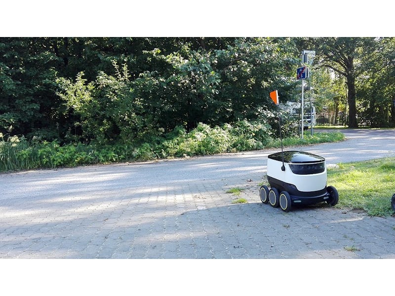 Sidewalk Last Mile Delivery Robots: a Billion-Dollar-Market by 2030? |  IDTechEx Research Article