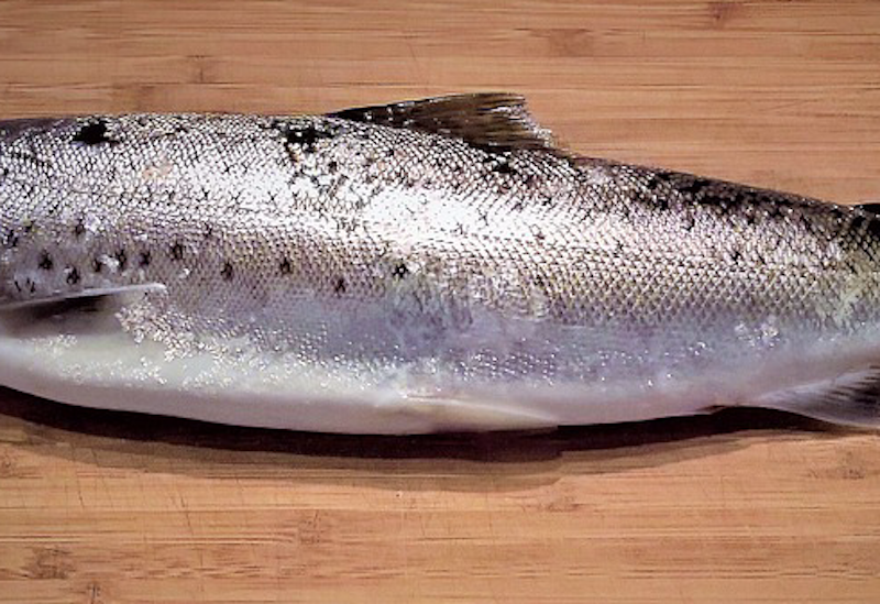 Fish Scales Could Make Wearable Electronics More Sustainable Printed Electronics World Fish Scales Could Make Wearable Electronics More Sustainable Printed Electronics World