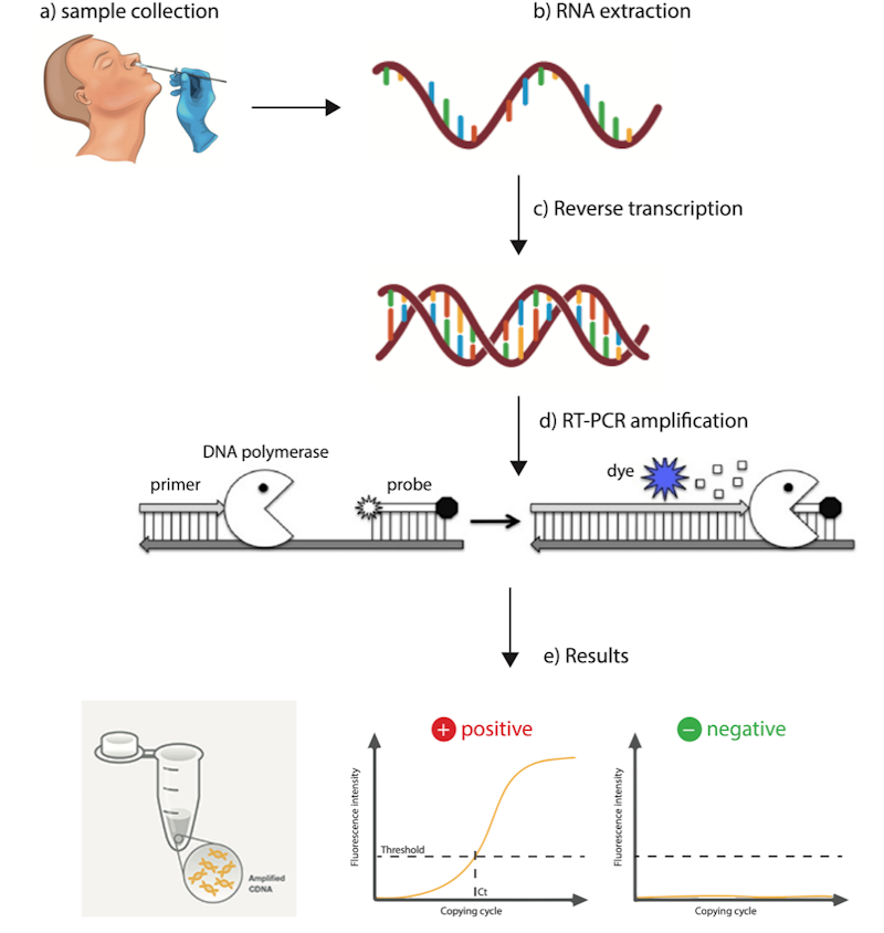 The Worldwide Test for Covid-19 | Global Biotechnology Insights