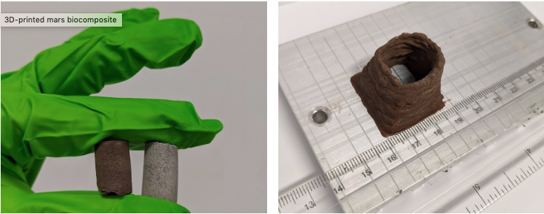 Affordable housing in outer space: Scientists develop cosmic concrete from space dust and astronaut blood