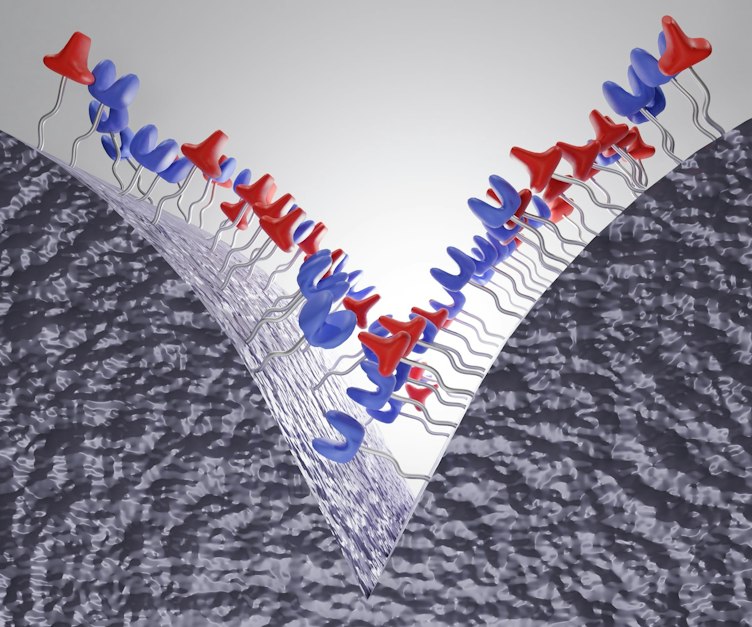 Upcoming Webinar on Self-Healing Materials | Advanced Materials World