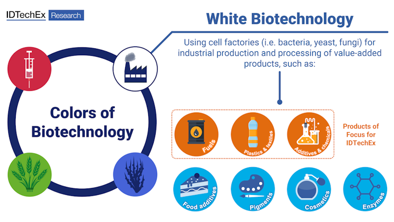 Colors of biotechnology: defining the scope of white biotechnology