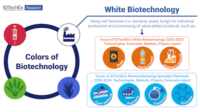 White Biotechnology's Role in the Future of Speciality Chemicals