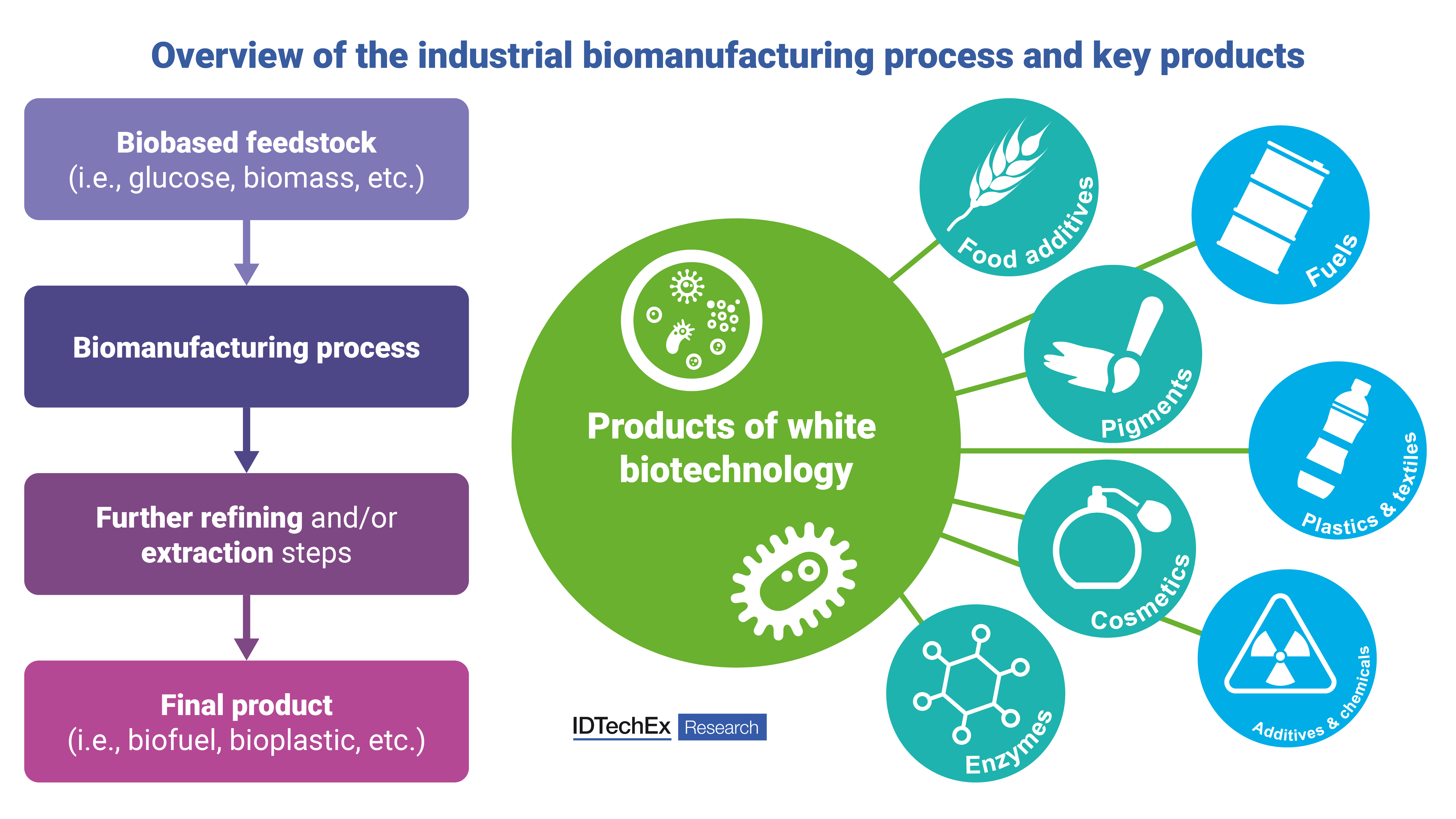 White Biotechnology Shaped by Regulation and Technology Breakthroughs