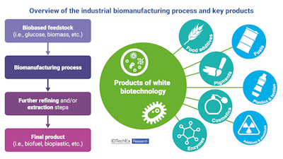 White Biotechnology Shaped by Regulation and Technology Breakthroughs